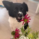 NR-30[달구벌대로]-하-8 | 블로그 일기(2026년 1월 ep3.)