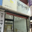 댕댕이발소 이미지