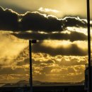 마스타카 이미지