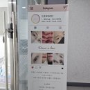 드로우어라인