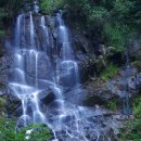 계곡1번지 이미지