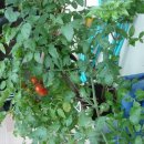 안산동(시경계) 이미지