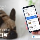 김민재동물병원 이미지