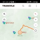 그린크린