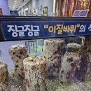 창녕동애등에 이미지