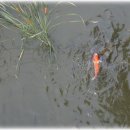 하늬목장 이미지