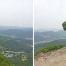 공주생명과학고 제2농장 이미지