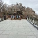 (주)모두카 | 거제파노라마케이블카 후기 🚡 노자산 정상 · 윤슬전망대 · 대마도 전망 명소 솔직 리뷰