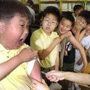 나주사 | 시험관 과배란 자가주사 통증, 후기(feat.나만의 꿀팁)