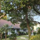 대흘샬레 이미지