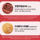 덴탈기획 | [강아지 치석껌] 강아지 치석 제거에 좋은 덴탈껌 "반려다움 부드러운 덴탈츄" 급여후기