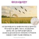 튼튼중앙약국 이미지