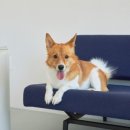 티어하우스 이미지