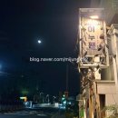 이누 | 제주 맛집 이누팬 후기 | 서귀포 저녁•술집 찾는다면 여기! 내돈내산