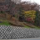 에코펜션민박 이미지