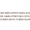 세종퍼스트피부과의원 이미지