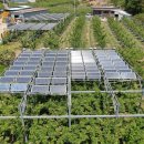 금천영농 이미지