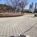 디어포우 | 2025 메가주 일산 하반기 킨텍스 케이펫 애견박람회 방문 후기와 품절된 브랜드 소식