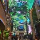 아레나 게임랜드 이미지