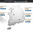 팔레트포레 이미지