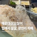부산산오징어 | 해운대산오징어 | 부산 광안리 오징어회 1짱 맛집, 내돈내산 후기