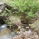 불정자연휴양림 이미지