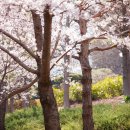 부산종합운동장 아시아드주경기장 이미지