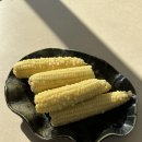 오얏리스테이 이미지