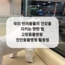 진안동물병원 이미지
