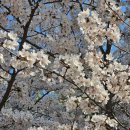 하단동1142 이미지