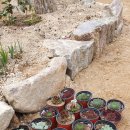 용설농장 이미지