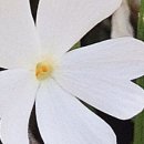 양달캠핑장 이미지