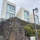 516로 | 서귀포 호텔 조식 후기 야외풀 가족여행 벨룸리조트