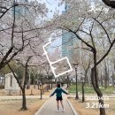 봄의 기록 : 튜올립 화단에 들어가지마세요 ! 🌷 (서울랜드, 이천도자기마을, 전곡항 차크닉)