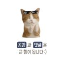 케니스테이 이미지