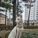 구르미교육 이미지