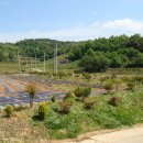 이색체험마을 이미지