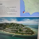 다이렉트 팜
