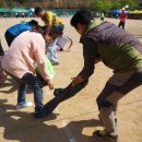 효령중학교 이미지