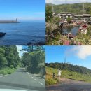 남산목장 | 자연의 풍경에 넋을 놓던 순간들 feat. 여름휴가 제주도여행, 데이트, 한강, 남산타워