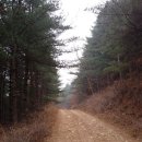 우두산길 이미지