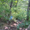 개인약수 이미지