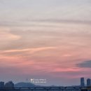송파부부한의원 | [일상] 여행과 일상 그 어딘가 / 일주일 서울살이 / 한강 · 성수 · 송파