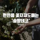 솔향데코 네이버블로그