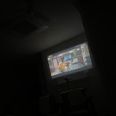 스테이동백 이미지