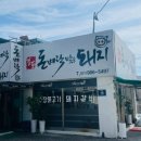 돈벼락맞은돼지