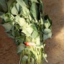 종순농장 이미지