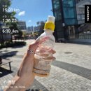 평화 | 손기정평화마라톤 대회 후기