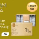 일품잎새버섯