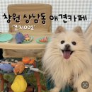 은아유치원 | 창원 상남동 애견카페 코지002 애견동반 입장료 내돈내산